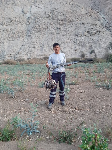 airgunsperu-120