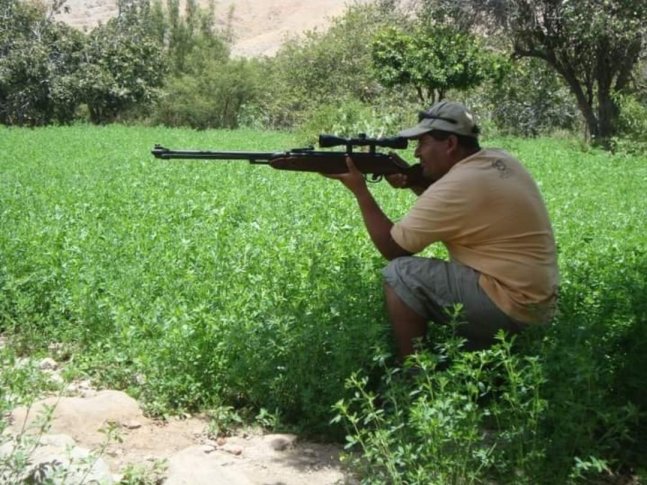 airgunsperu-60