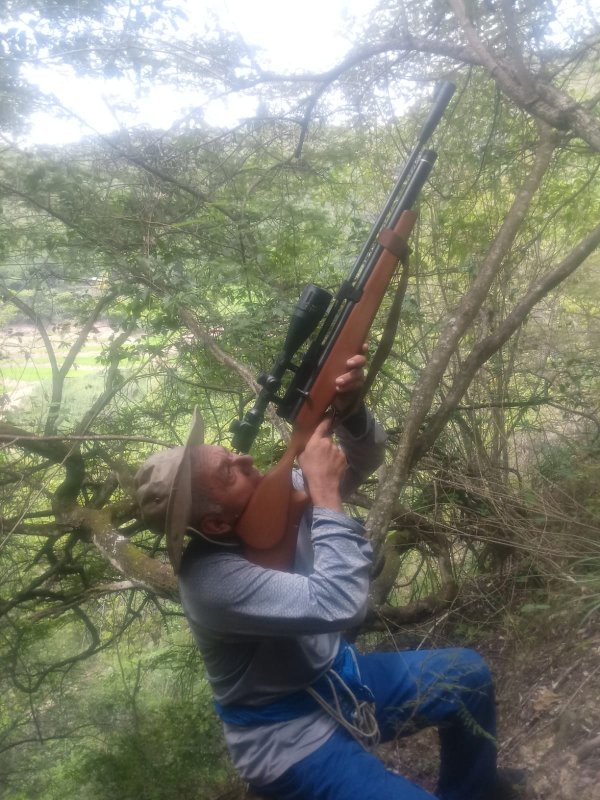airgunsperu-86